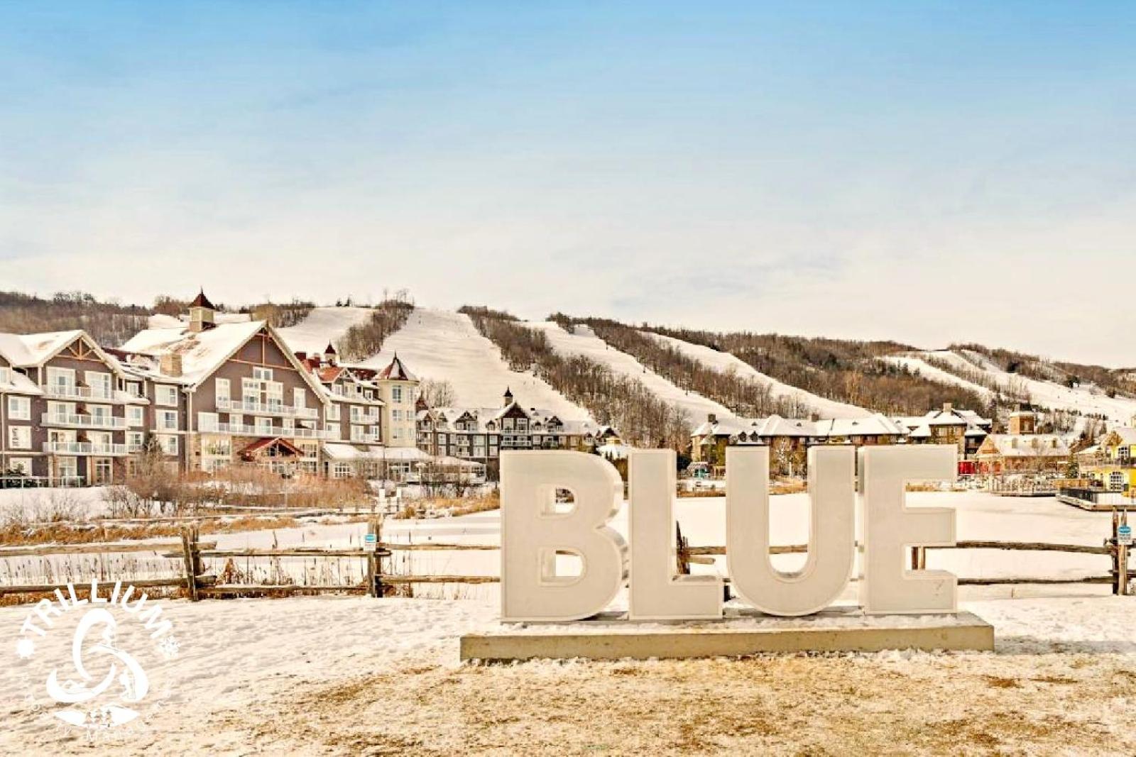 Blue Mountain, Collingwood - Loft Condo, Sleeps 4 The The Blue Mountains Exterior foto